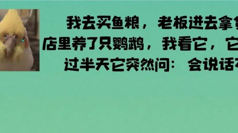 食品批发与零售：揭秘哪条路径更盈利