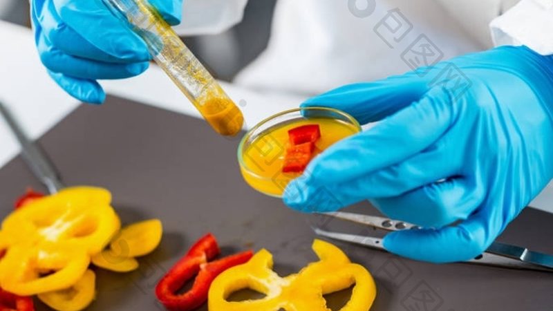 揭秘食品招商加盟费用：揭秘背后的成本构成与影响因素